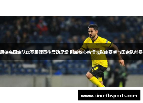 厄德高国家队比赛脚踝重伤震动足坛 挪威核心伤情或影响赛季与国家队前景