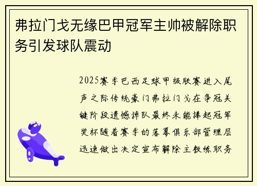 弗拉门戈无缘巴甲冠军主帅被解除职务引发球队震动 弗拉门戈无缘巴甲冠军主帅被解除职务引发球队震动